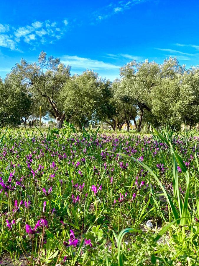 Alacati Barbarossa Hotel Чесме Екстериор снимка